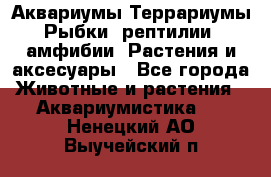 Аквариумы.Террариумы.Рыбки, рептилии, амфибии. Растения и аксесуары - Все города Животные и растения » Аквариумистика   . Ненецкий АО,Выучейский п.